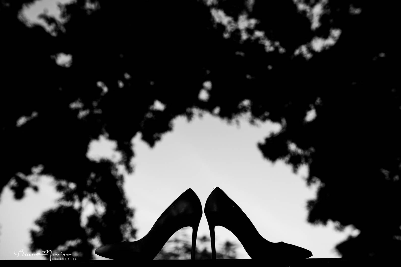 DSC_3208